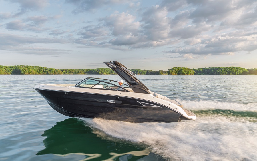 Sea Ray SDX 250: Your Day, Your Way!