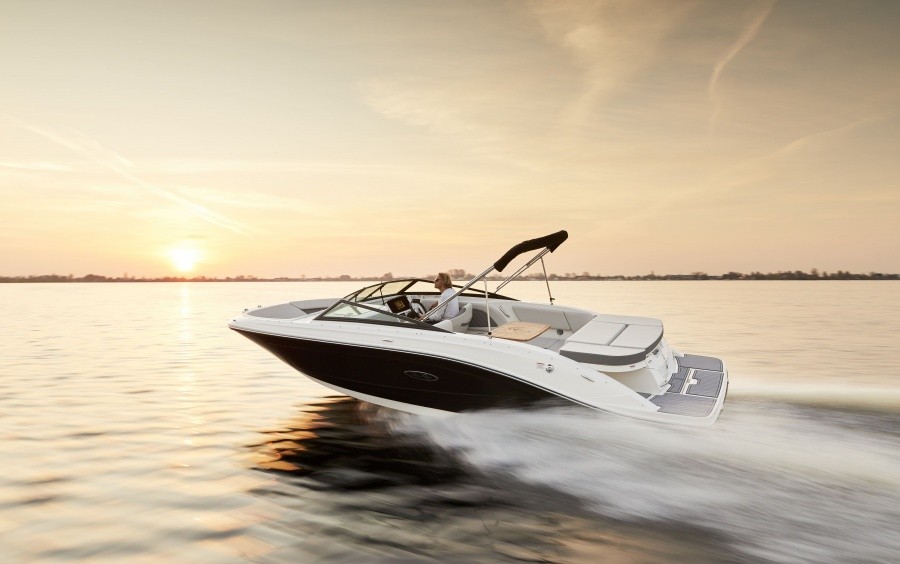 Sea Ray SPX 230: Room for Everyone, Fun for All