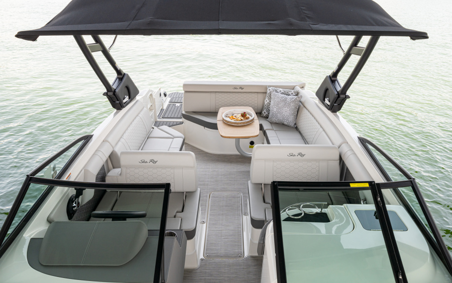 Sea Ray SDX 290